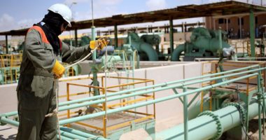 Assiut Petroleum Projects